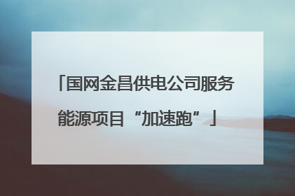 国网金昌供电公司服务能源项目“加速跑”