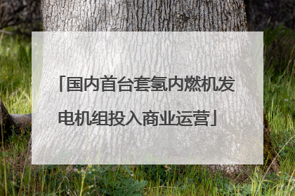 国内首台套氢内燃机发电机组投入商业运营