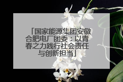 国家能源集团安徽合肥电厂团委：以青春之力践行社会责任与创新担当