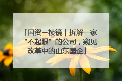 国资三棱镜｜拆解一家“不起眼”的公司，窥见改革中的山东国企