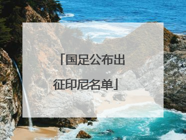 国足公布出征印尼名单