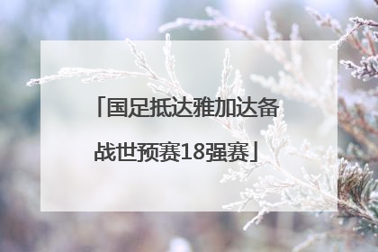 国足抵达雅加达备战世预赛18强赛