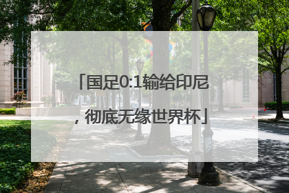 国足0:1输给印尼，彻底无缘世界杯