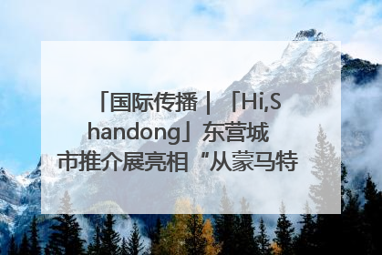 国际传播｜「Hi,Shandong」东营城市推介展亮相“从蒙马特到加里波第”文化节