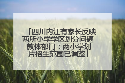 四川内江有家长反映两所小学学区划分问题 教体部门：两小学划片招生范围已调整