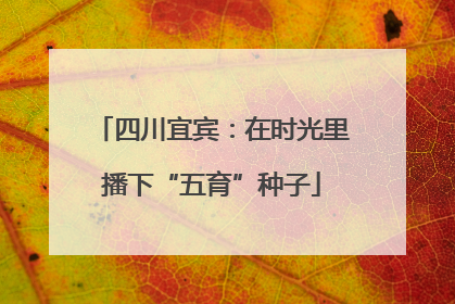 四川宜宾：在时光里播下“五育”种子