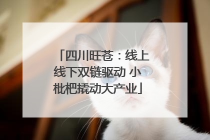 四川旺苍：线上线下双链驱动 小枇杷撬动大产业