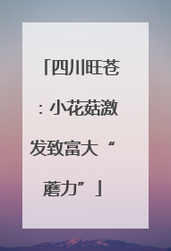 四川旺苍：小花菇激发致富大“蘑力”