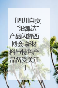 四川自贡“沿滩造”产品闪耀西博会 新材料与特色产品备受关注
