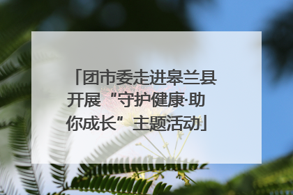 团市委走进皋兰县开展“守护健康·助你成长”主题活动