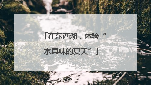 在东西湖，体验“水果味的夏天”