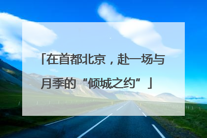 在首都北京，赴一场与月季的“倾城之约”