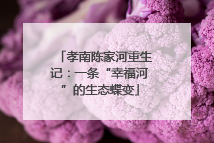 孝南陈家河重生记：一条“幸福河”的生态蝶变