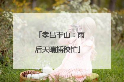 孝昌丰山：雨后天晴插秧忙