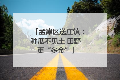 孟津区送庄镇：种瓜不见土 田野更“多金”