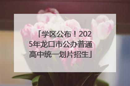 学区公布！2025年龙口市公办普通高中统一划片招生