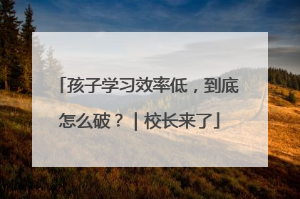 孩子学习效率低，到底怎么破？｜校长来了