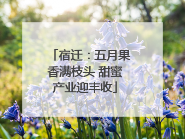 宿迁：五月果香满枝头 甜蜜产业迎丰收