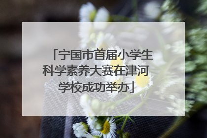 宁国市首届小学生科学素养大赛在津河学校成功举办