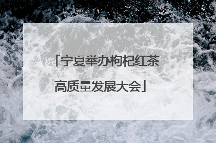 宁夏举办枸杞红茶高质量发展大会