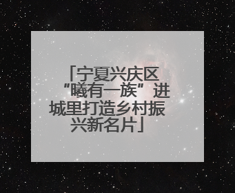 宁夏兴庆区 “曦有一族”进城里打造乡村振兴新名片