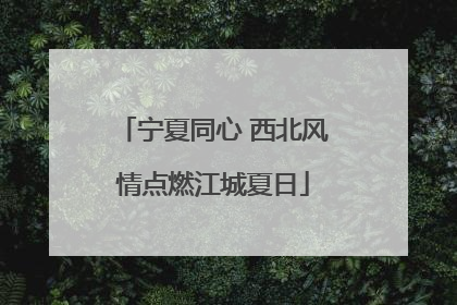 宁夏同心 西北风情点燃江城夏日