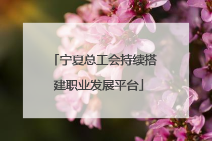 宁夏总工会持续搭建职业发展平台