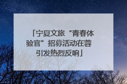 宁夏文旅“青春体验官”招募活动在蓉引发热烈反响