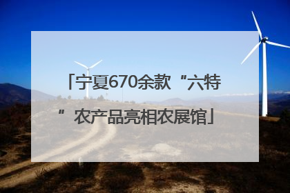 宁夏670余款“六特”农产品亮相农展馆