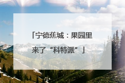 宁德蕉城：果园里来了“科特派”