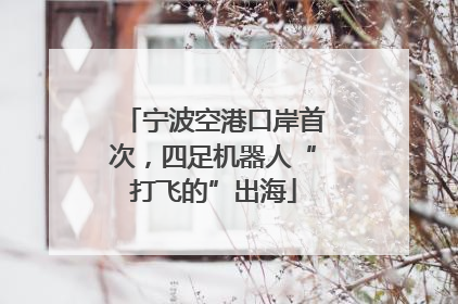 宁波空港口岸首次，四足机器人“打飞的”出海