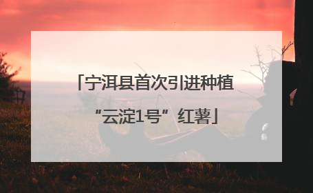 宁洱县首次引进种植“云淀1号”红薯