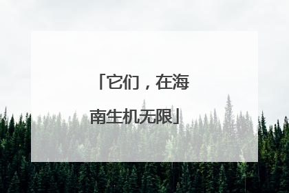 它们，在海南生机无限