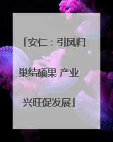 安仁：引凤归巢结硕果 产业兴旺促发展