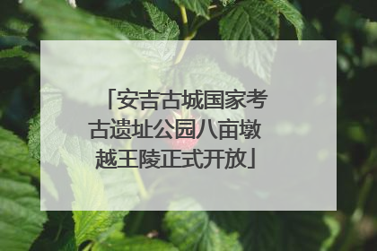 安吉古城国家考古遗址公园八亩墩越王陵正式开放