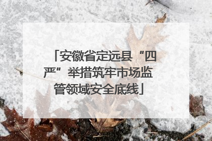 安徽省定远县“四严”举措筑牢市场监管领域安全底线