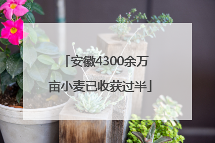 安徽4300余万亩小麦已收获过半