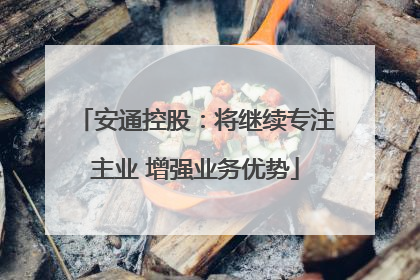 安通控股：将继续专注主业 增强业务优势