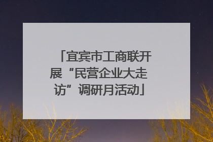 宜宾市工商联开展“民营企业大走访”调研月活动