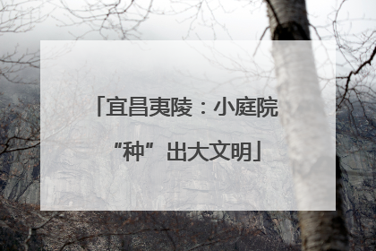宜昌夷陵：小庭院“种”出大文明