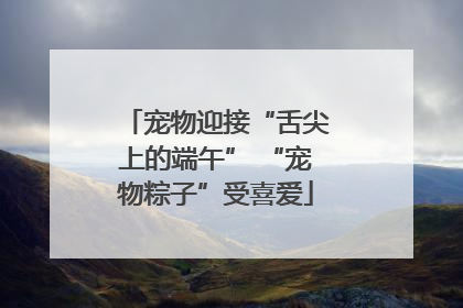 宠物迎接“舌尖上的端午” “宠物粽子”受喜爱