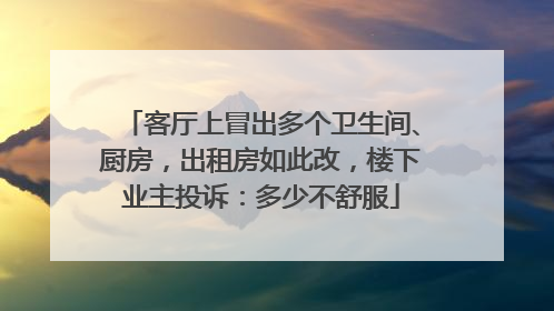 客厅上冒出多个卫生间、厨房，出租房如此改，楼下业主投诉：多少不舒服