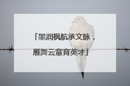 墨润枫航承文脉，雁舞云章育英才