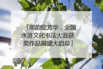 墨韵绽芳华，全国水浒文化书法大赛获奖作品展盛大启幕