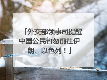 外交部领事司提醒中国公民暂勿前往伊朗、以色列！