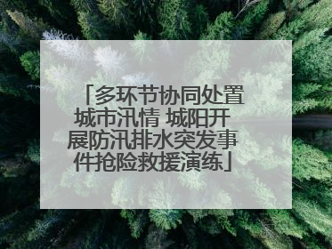 多环节协同处置城市汛情 城阳开展防汛排水突发事件抢险救援演练
