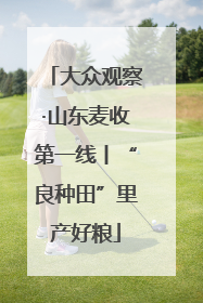大众观察·山东麦收第一线丨“良种田”里产好粮
