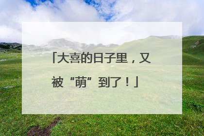 大喜的日子里，又被“萌”到了！