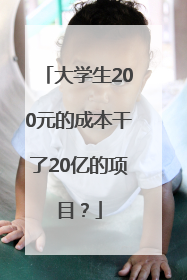大学生200元的成本干了20亿的项目？