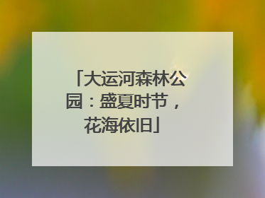 大运河森林公园：盛夏时节，花海依旧